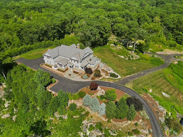 29 Rogues Rdg, Weston, CT 06883 - aerial view of property's location with a heavily wooded area