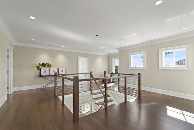 corridor featuring dark wood-type flooring and crown molding