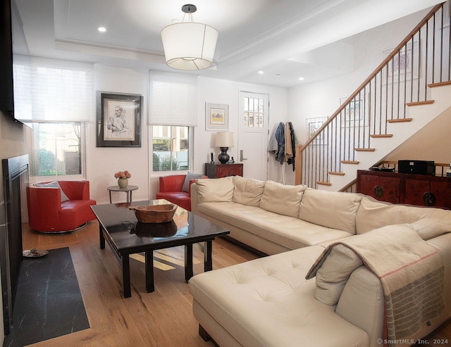 living room with wood-type flooring and plenty of natural light