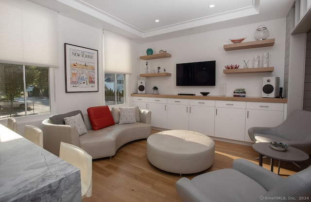 living room with a raised ceiling and light hardwood / wood-style floors