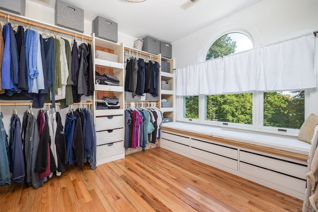 spacious closet featuring a baseboard radiator and light hardwood / wood-style flooring