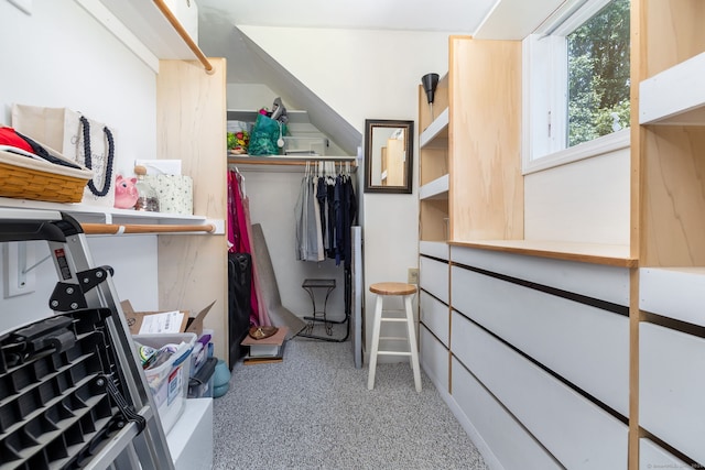 walk in closet with carpet flooring