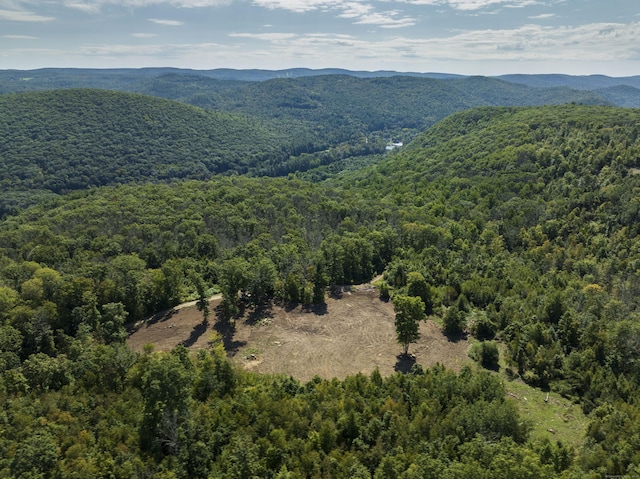 Swaller Hill Rd, Sharon, CT 06069 - photo 7
