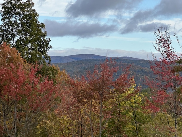 Swaller Hill Rd, Sharon, CT 06069 - photo 2