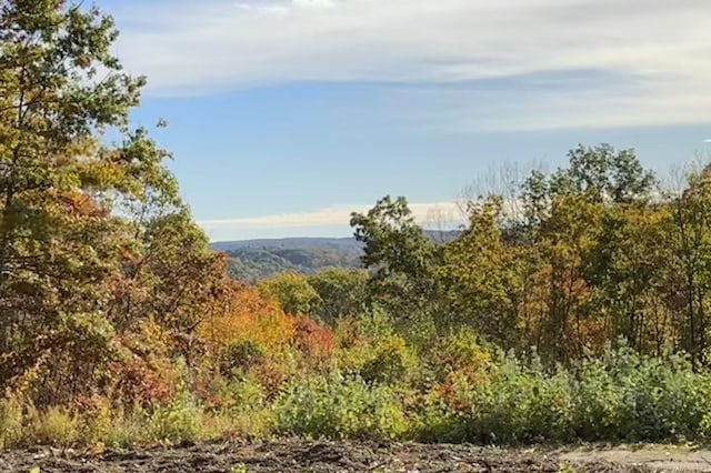 Swaller Hill Rd, Sharon, CT 06069 - photo 3