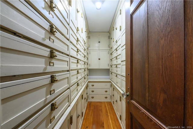 walk in closet featuring light hardwood / wood-style floors