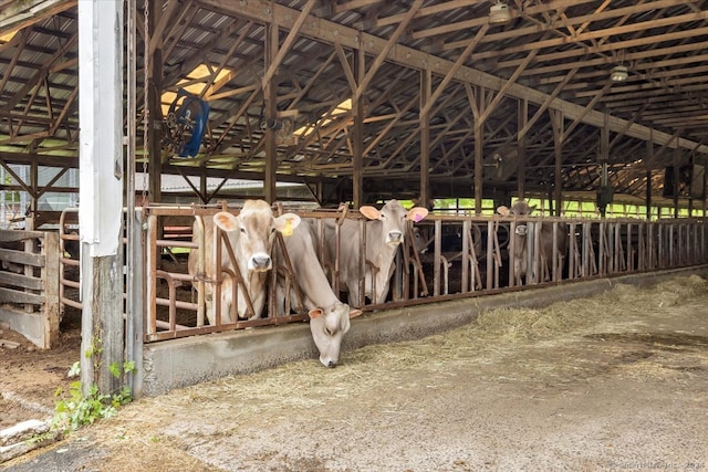 view of horse barn