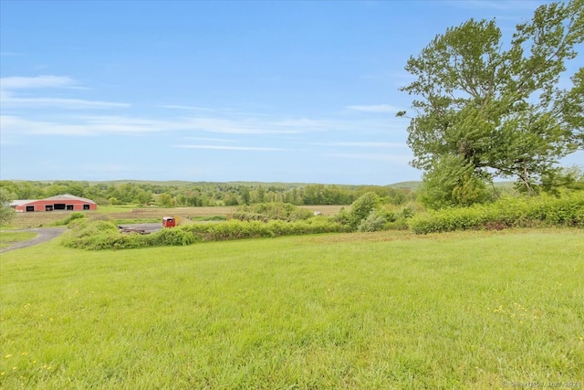 view of yard with a rural view