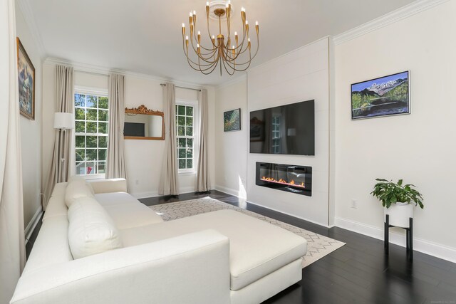 living room with crown molding, dark hardwood / wood-style flooring, and an inviting chandelier