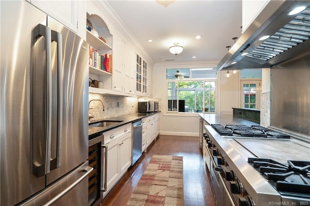 kitchen with backsplash, dark hardwood / wood-style flooring, ventilation hood, sink, and appliances with stainless steel finishes