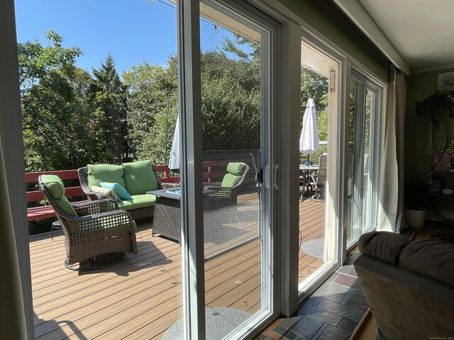 entryway with a healthy amount of sunlight