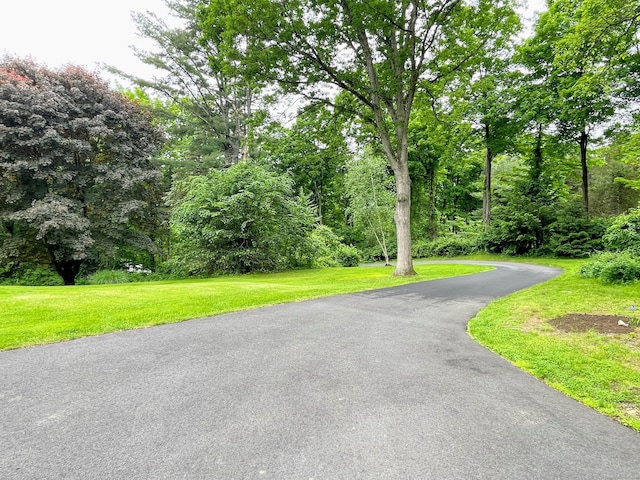 25 Old Middle Rd, Brookfield, CT 06804 - view of street