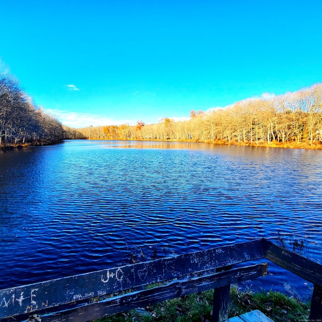 property view of water