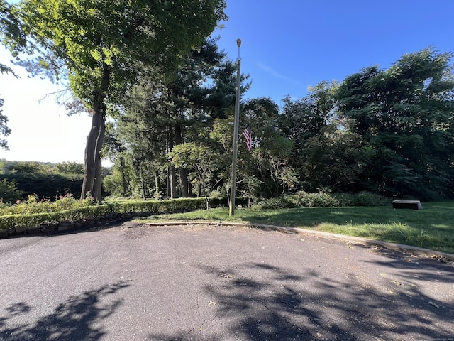 45 Sunnyledge St, New Britain, CT 06052