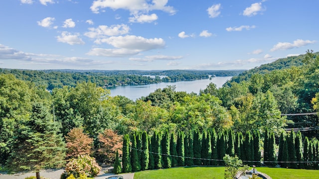 birds eye view of property featuring a water view and a view of trees