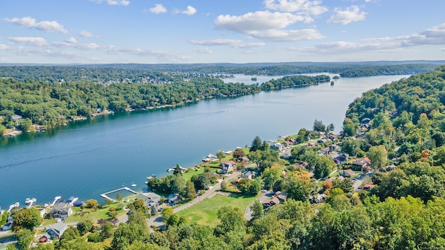 bird's eye view with a water view and a forest view