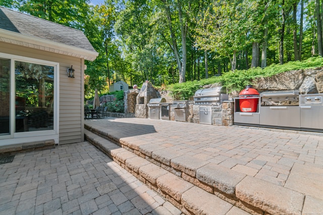 view of patio / terrace with area for grilling and an outdoor kitchen