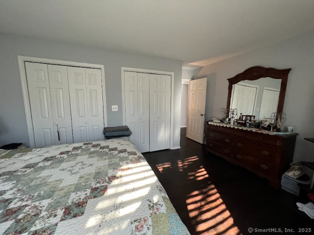 bedroom with two closets