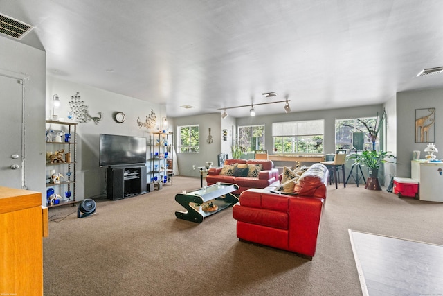 carpeted living room featuring rail lighting