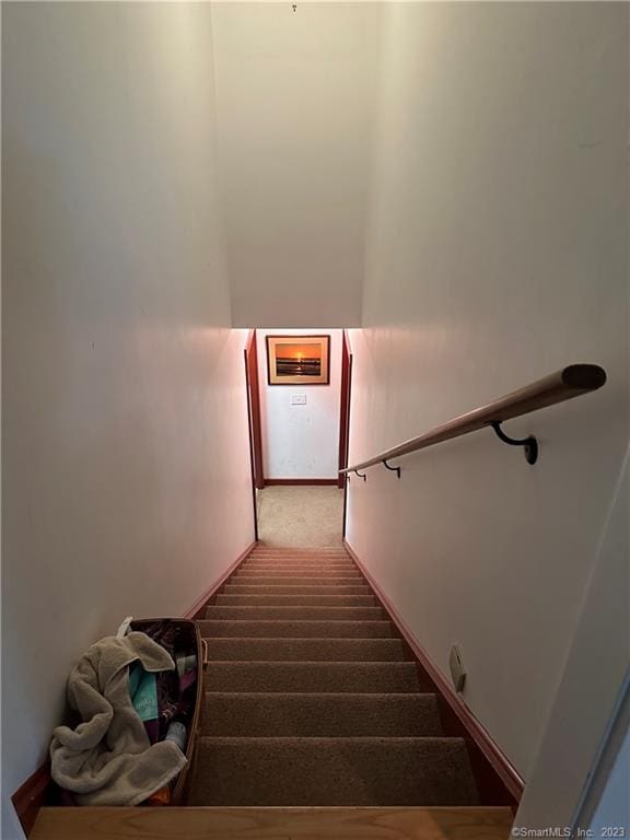 stairs featuring carpet