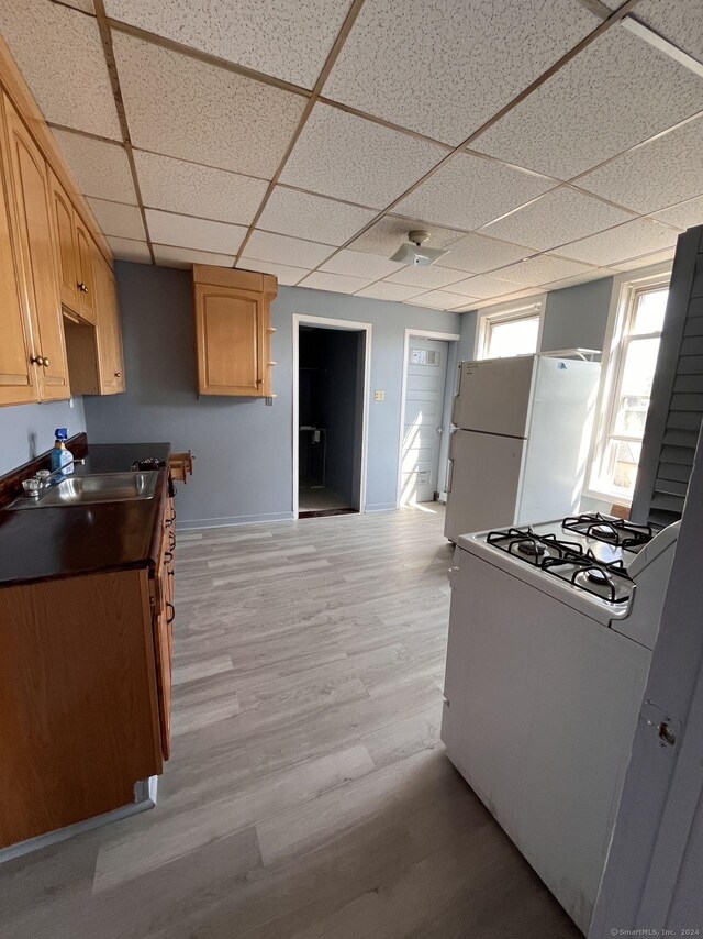 kitchen with white appliances, sink, a drop ceiling, and light hardwood / wood-style flooring