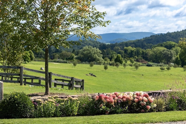 view of property's community with a yard, a rural view, and a mountain view