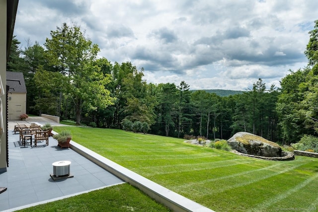 89 Under Mountain Rd, Canaan, CT 06031 - view of grassy yard with a patio and a wooded view