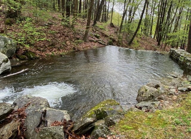 89 Under Mountain Rd, Canaan, CT 06031 - photo 16