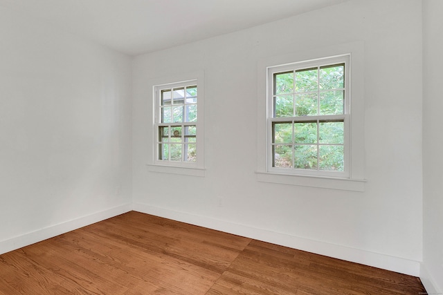 spare room with a wealth of natural light and wood-type flooring