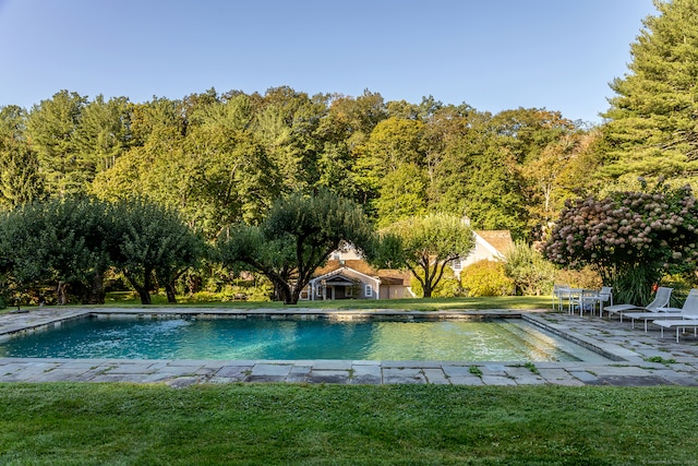 view of swimming pool featuring a patio area and a lawn