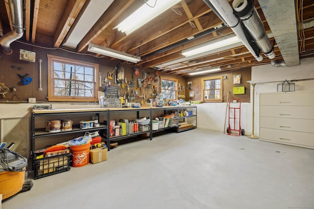 basement with a workshop area and a wealth of natural light