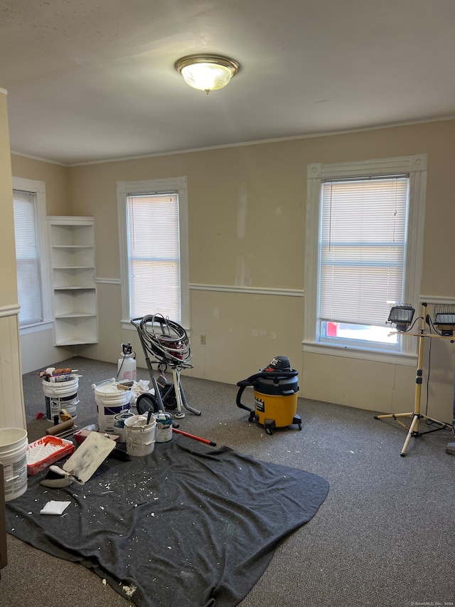 misc room with crown molding, plenty of natural light, and carpet flooring