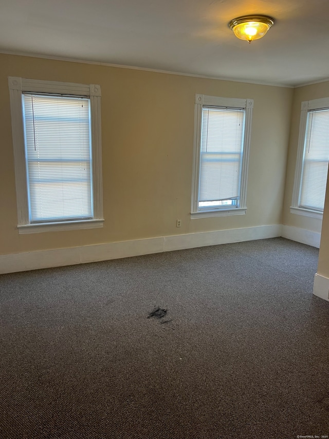 spare room featuring a healthy amount of sunlight and carpet floors