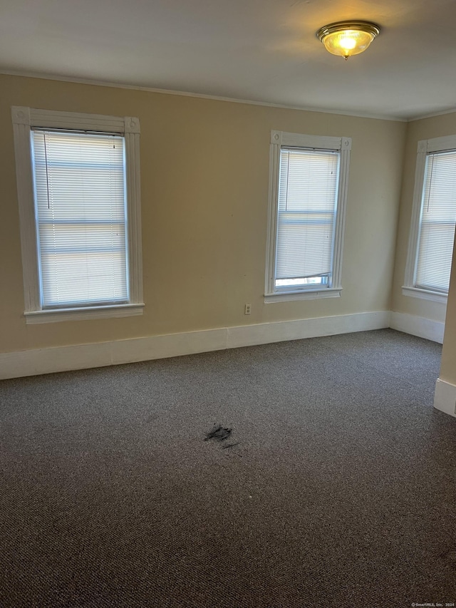 spare room with baseboards, crown molding, and carpet