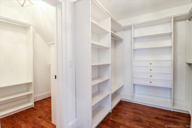 walk in closet featuring dark wood-type flooring