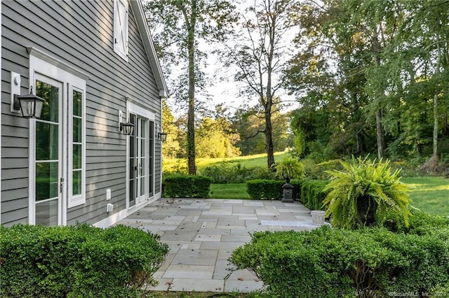 view of yard featuring a patio