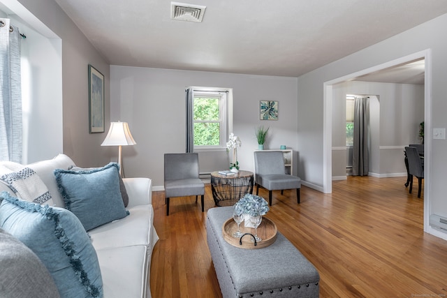 living room with hardwood / wood-style floors