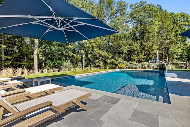 view of pool featuring a patio