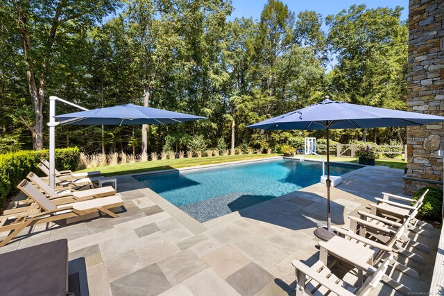 view of pool featuring a patio