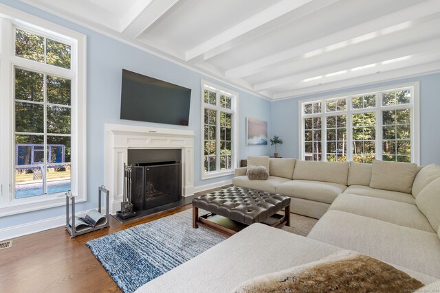 living room with beamed ceiling, dark hardwood / wood-style flooring, and a healthy amount of sunlight