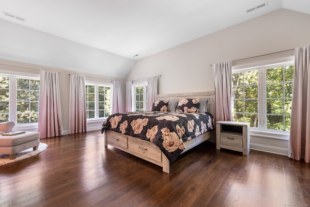 bedroom featuring multiple windows, lofted ceiling, and dark wood-type flooring