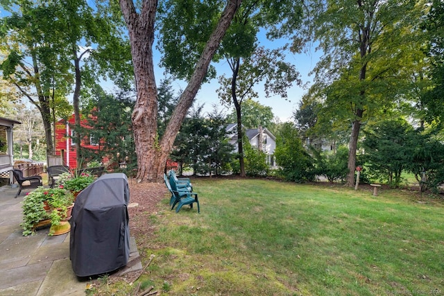 view of yard featuring a patio