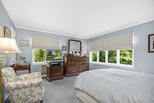 bedroom featuring a baseboard radiator, ornamental molding, and light carpet