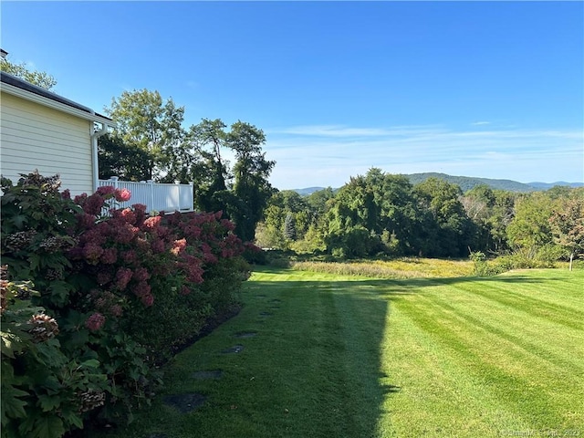 view of yard featuring a mountain view