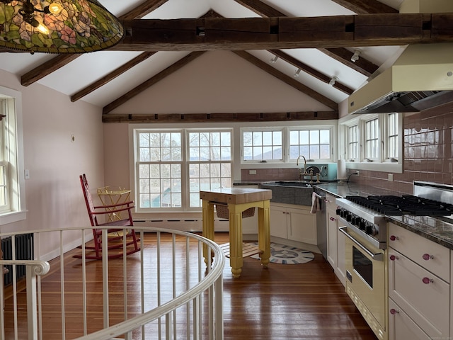 kitchen featuring island range hood, sink, white cabinets, stainless steel appliances, and a healthy amount of sunlight