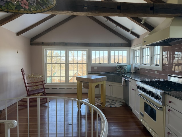 kitchen featuring sink, stainless steel appliances, dark hardwood / wood-style floors, white cabinets, and exhaust hood