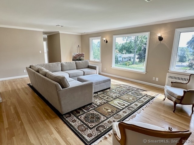 living room featuring light hardwood / wood-style floors, a healthy amount of sunlight, and crown molding