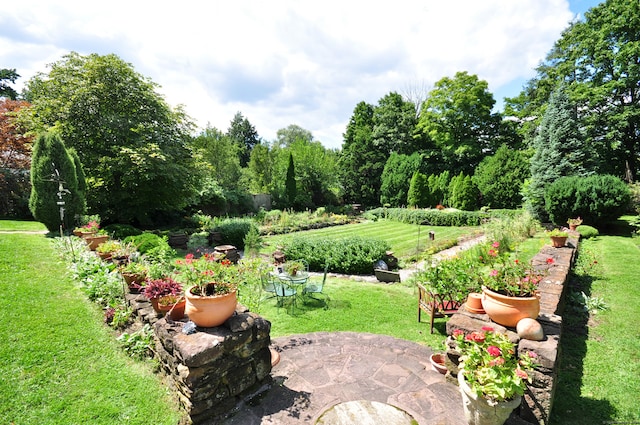 view of yard featuring a patio