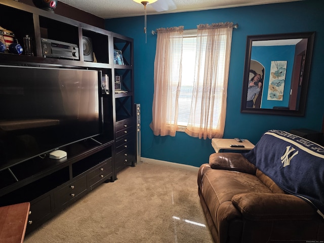 carpeted living room with a textured ceiling