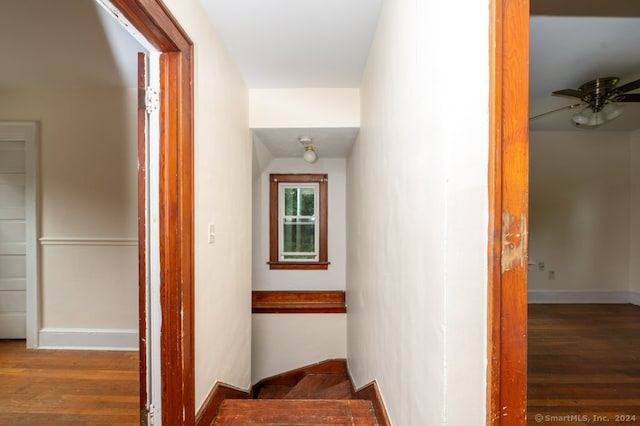 stairs featuring ceiling fan and hardwood / wood-style flooring